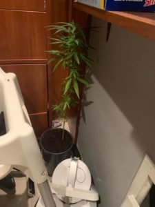 Agresywny Lokator – w przeszłości zaatakował Annę Muchę